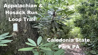 Hosack Run & Appalachian Loop Trail Michaux State Forest