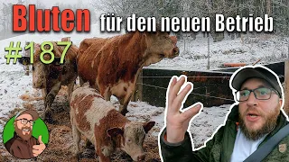 FarmVlog 187: Bluten für den neuen Betrieb ! | Ich hab so einen Hals | Der Lader ist verreckt! 🙈🤯