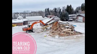 Tearing Down old Pig Barns