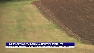 InvestSWVA launches first project; Farmers growing barley for craft beverages