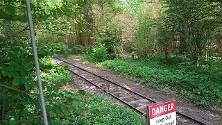 zoo train 49 river edge