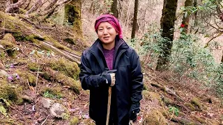 Ani Choying Drolma's visit to Guru Rinpoche's Cave in Helambhu.