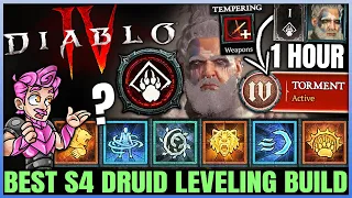 Diablo 4 - New Best Druid Leveling Build - Season 4 FAST 1 to 70 - Skills Tempering Gear Guide!