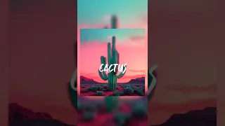 cactus-belinda(audio)