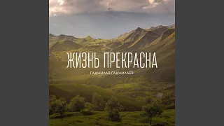 Встреча на чужбине