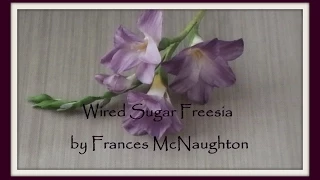 Sugar freesia - fast version