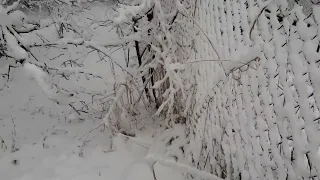 Снег кружится, аудиокнига, Сергей Березин.