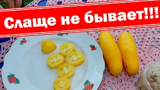 Самый сладкий, самый устойчивый, самый желтый томат сезона 2019