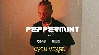 TEKNO - Peppermint  ( OPEN VERSE ) Instrumental BEAT + HOOK By Pizole Beats