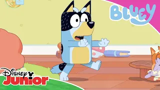 🥰 Bandit's Best Bits | Bluey | Disney Kids