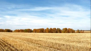 Осень Волчиха Окрестности  фото НикПетровича