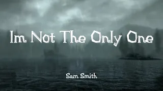 Sam Smith - I'm Not The Only One (Lyrics) | Lukas Graham , Ellie Goulding (Mix) 🌧