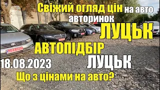 АВТОПІДБІР Луцьк | Свіжий огляд цін на машини | АВТОБАЗАР ЛУЦЬК | Актуальні ціни на авто | ШОК