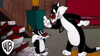 Looney Tunes Super Stars: Sylvester & Hippety Hopper | Wrestling Match | Warner Bros. Entertainment