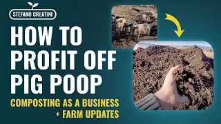 How to profit off pig poop | Composting as an Income Stream | Regenerative Agriculture