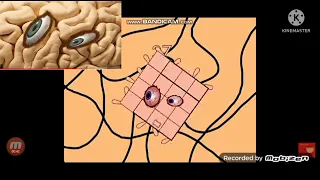 uncanny block band 31-40 with Mr incobian face