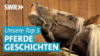 Top 5: Unsere schönsten Pferdegeschichten