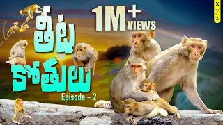 తీట కోతులు | Episode -2 | ultimate comedy video | #monkey | #xyz