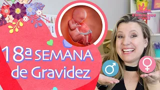 18ª SEMANA DE GESTAÇÃO | Como Sentir Bebê Mexer, Tamanho do Feto e Barriga |2º TRIMESTRE DE GRAVIDEZ