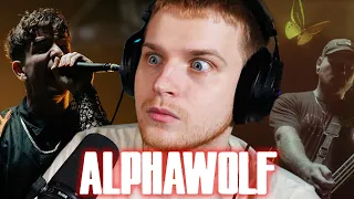 EMOTIONAL ALPHA WOLF | Alpha Wolf - Whenever You're Ready (Reaction)