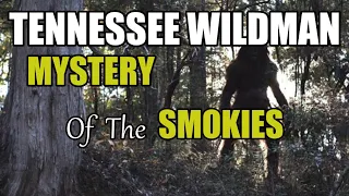The TENNESSEE WILDMAN Mystery of the Great Smoky Mountains.