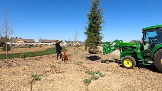 Planting Trees: Day 1, South Garden! 🌲💚🌳 // Garden Answer