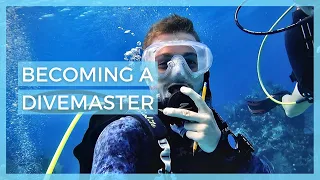 Becoming a DIVEMASTER - Everything you should know // Bay Islands College of Diving, Utila, Honduras