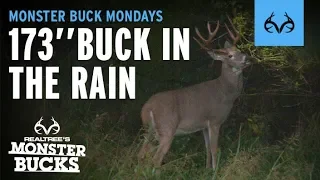 Hunting In The Rain | Giant Whitetail Buck | Monster Bucks Mondays