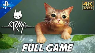 STRAY FULL GAME Walkthrough (PS5) No Commentary Gameplay @ 4K 60ᶠᵖˢ ✔