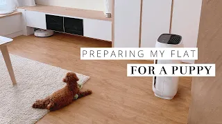 Preparing My Apartment for A Puppy