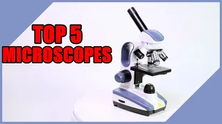 Top 5 Best Microscopes In 2021 On Amazon