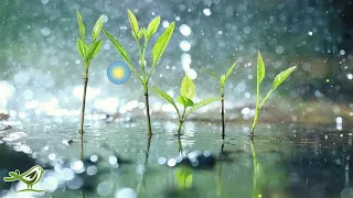 Relaxing Piano Music & Soft Rain Sounds • Background Sleep Music  |Raindrops Extended OUT