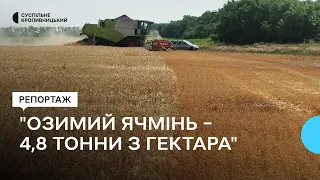 "Озимий ячмінь – 4,8 тонни з гектара". На Кіровоградщині почалися жнива