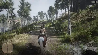 Rdr2 chill trail ride