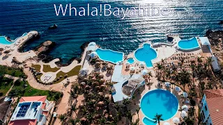 WHALA!BAYAHIBE 4 * (Доминикана, Ла-Романа)