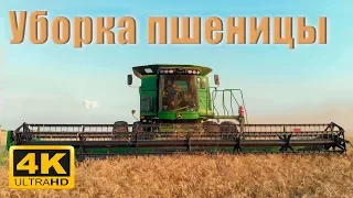 Уборка пшеницы! John Deere 9770 STS в 4K.