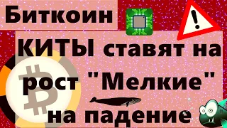 Биткоин КИТЫ ставят на рост Мелкие на падение!!  Хешрейт биткоина   большой скачок