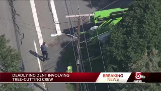 Witnesses: Tree worker in cherry picker electrocuted after hitting power lines