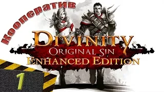 Начинаем приключение вместе с Фоглером | Divinity: Original Sin Enhanced Edition #1