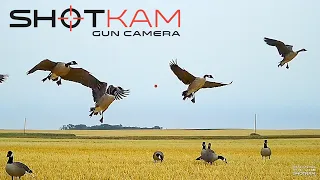 Shotkam Goose Hunting