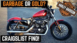 Buy or Bust? Harley Davidson Sportster Iron 883 Craigslist Find