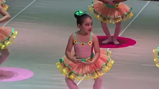 Clausura Ballet Taller Visión de la Danza 2024