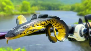 can this HUGE BURBOT LURE catch a RIVER MONSTER!