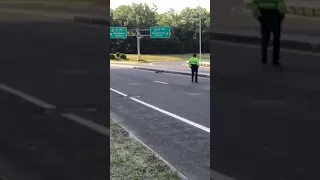 State Police trooper protects ducks crossing Mass Pike Ludlow interchange