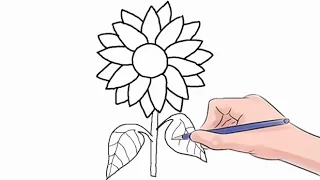 How to Draw a Sunflower Easy Step by Step