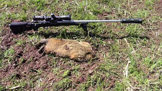 Groundhog Hunts of April First Five of 2023