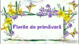 Florile de primăvară🌷|prezentare|observare ghiocelul