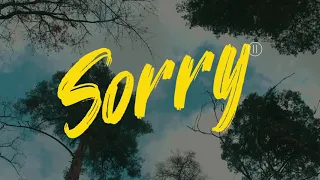 DEMCHUK X NK - Sorry 2 (Lyric video)