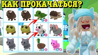 КАК ПРОКАЧАТЬ СВОЙ ИНВЕНТАРЬ В АДОПТ МИ? СОВЕТЫ ДЛЯ НОВИЧКОВ! |  ROBLOX ADOPT ME Kroshka_Nastia