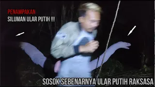 Penampakan Sosok Siluman Ular Putih Raksasa